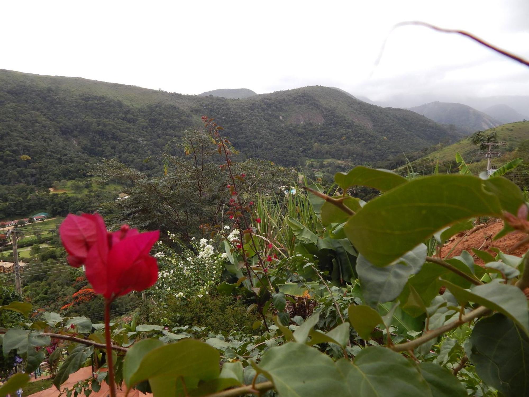Pousada Quinta Do Alto Itaipava Стая снимка